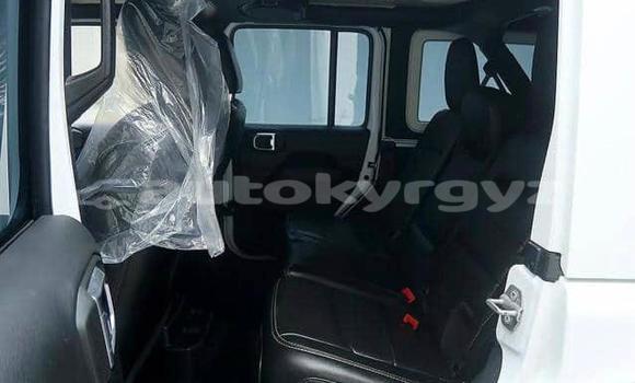 Buy Used Jeep Wrangler White Car in Bishkek in Bishkek Buy Used Jeep Wrangler White Car in Bishkek in Bishkek