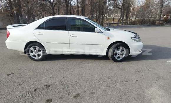 Buy Used Toyota Camry White Car in Bishkek in Bishkek Buy Used Toyota Camry White Car in Bishkek in Bishkek