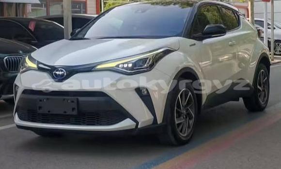 Buy Used Toyota C-HR White Car in Bishkek in Bishkek