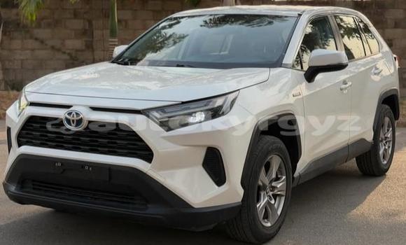 Buy Used Toyota RAV4 White Car in Bishkek in Bishkek Buy Used Toyota RAV4 White Car in Bishkek in Bishkek