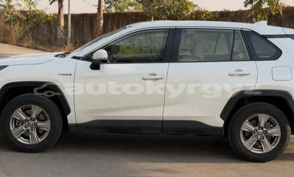 Buy Used Toyota RAV4 White Car in Bishkek in Bishkek Buy Used Toyota RAV4 White Car in Bishkek in Bishkek