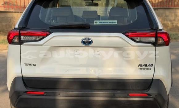 Buy Used Toyota RAV4 White Car in Bishkek in Bishkek Buy Used Toyota RAV4 White Car in Bishkek in Bishkek