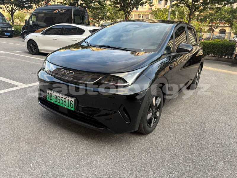 Big with watermark byd f3 bishkek bishkek 5952