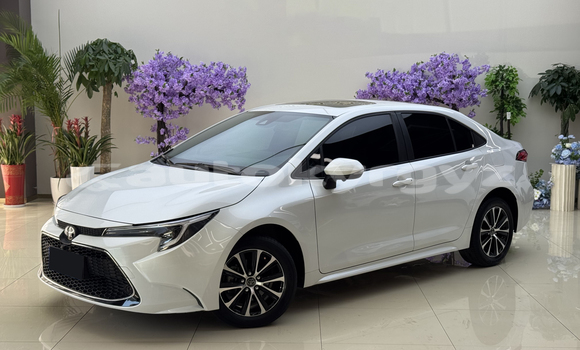 Buy Used Toyota Corolla White Car in Bishkek in Bishkek Buy Used Toyota Corolla White Car in Bishkek in Bishkek