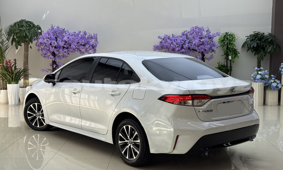 Buy Used Toyota Corolla White Car in Bishkek in Bishkek Buy Used Toyota Corolla White Car in Bishkek in Bishkek