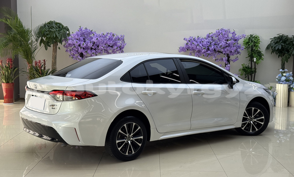 Buy Used Toyota Corolla White Car in Bishkek in Bishkek Buy Used Toyota Corolla White Car in Bishkek in Bishkek