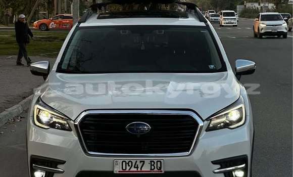 Buy Used Subaru Ascent White Car in Bishkek in Bishkek