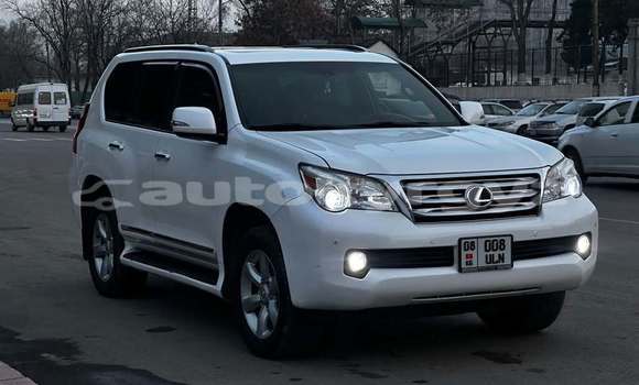 Buy Used Lexus GX White Car in Bishkek in Bishkek