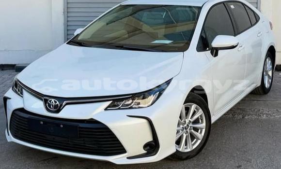 Buy Used Toyota Corolla White Car in Bishkek in Bishkek