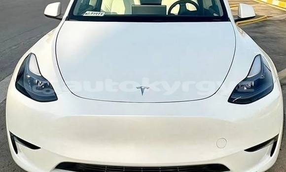Buy Used Tesla Model X White Car in Bishkek in Bishkek