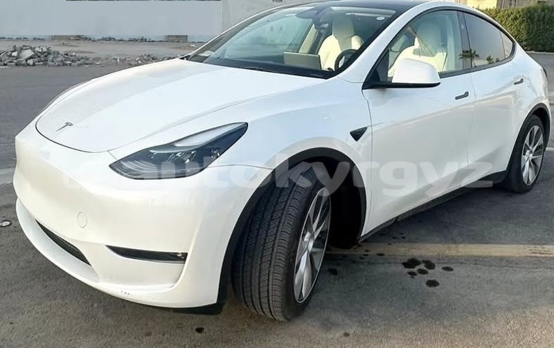 Big with watermark tesla model x bishkek bishkek 6020
