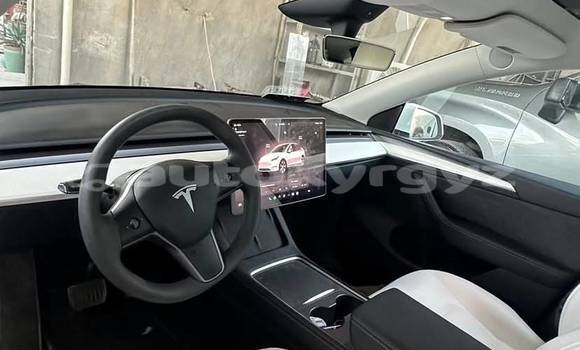 Buy Used Tesla Model X White Car in Bishkek in Bishkek Buy Used Tesla Model X White Car in Bishkek in Bishkek