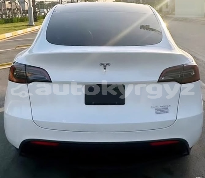 Big with watermark tesla model x bishkek bishkek 6020