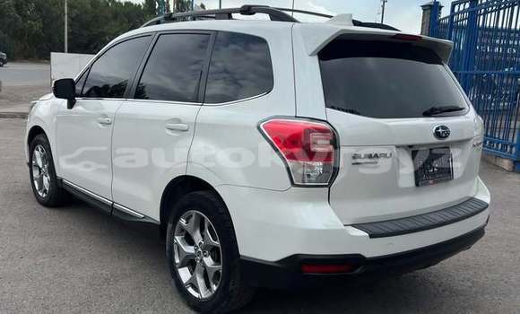 Buy Used Subaru Forester White Car in Balykchy in Issyk-Kul Buy Used Subaru Forester White Car in Balykchy in Issyk-Kul