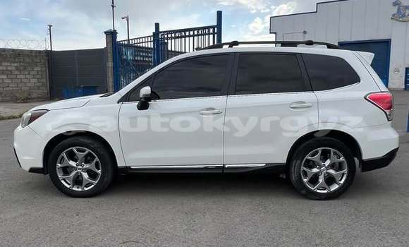 Buy Used Subaru Forester White Car in Balykchy in Issyk-Kul Buy Used Subaru Forester White Car in Balykchy in Issyk-Kul