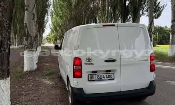 Buy Used Toyota ProAce White Car in Bishkek in Bishkek