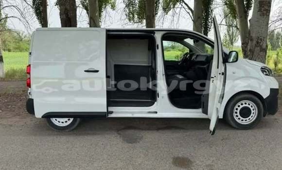 Buy Used Toyota ProAce White Car in Bishkek in Bishkek Buy Used Toyota ProAce White Car in Bishkek in Bishkek
