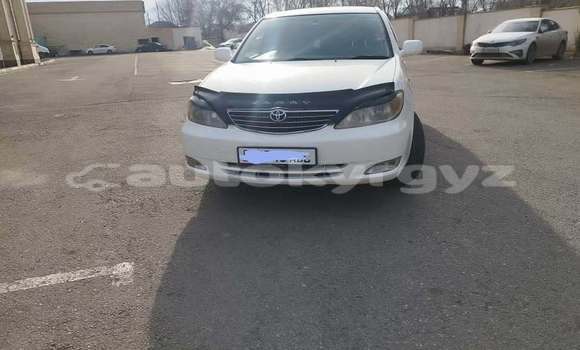 Buy Used Toyota Camry White Car in Bishkek in Bishkek