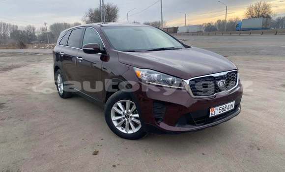 Buy Used Kia Sorento Red Car in Bishkek in Bishkek Buy Used Kia Sorento Red Car in Bishkek in Bishkek