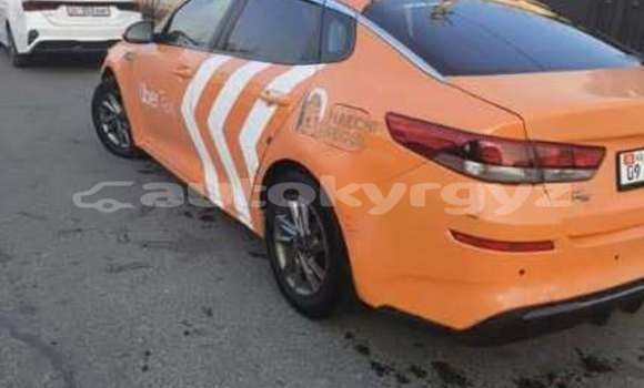 Buy Used Kia K5 Red Car in Bishkek in Bishkek Buy Used Kia K5 Red Car in Bishkek in Bishkek