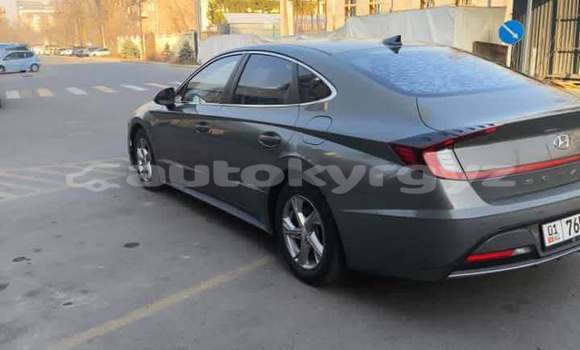 Buy Used Hyundai Sonata Other Car in Bishkek in Bishkek Buy Used Hyundai Sonata Other Car in Bishkek in Bishkek