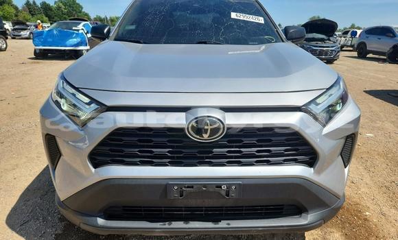 Buy Import Toyota RAV4 Silver Car in Bishkek in Bishkek Buy Import Toyota RAV4 Silver Car in Bishkek in Bishkek