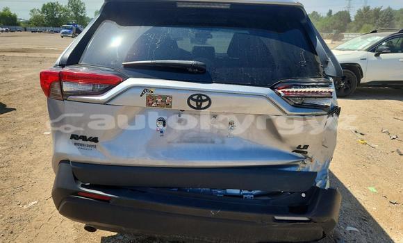 Buy Import Toyota RAV4 Silver Car in Bishkek in Bishkek Buy Import Toyota RAV4 Silver Car in Bishkek in Bishkek