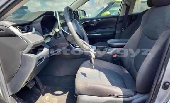 Buy Import Toyota RAV4 Silver Car in Bishkek in Bishkek Buy Import Toyota RAV4 Silver Car in Bishkek in Bishkek