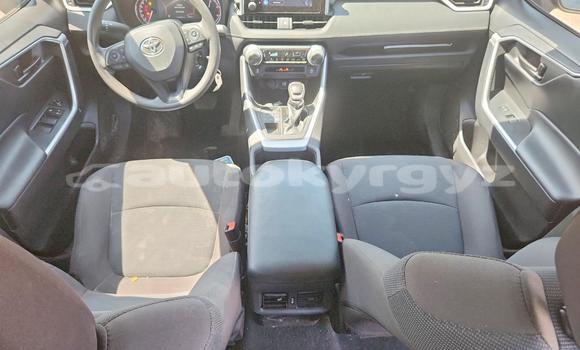 Buy Import Toyota RAV4 Silver Car in Bishkek in Bishkek Buy Import Toyota RAV4 Silver Car in Bishkek in Bishkek