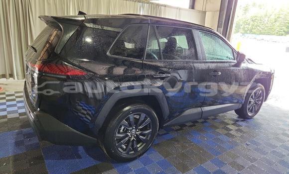 Buy Import Toyota RAV4 Black Car in Bishkek in Bishkek Buy Import Toyota RAV4 Black Car in Bishkek in Bishkek