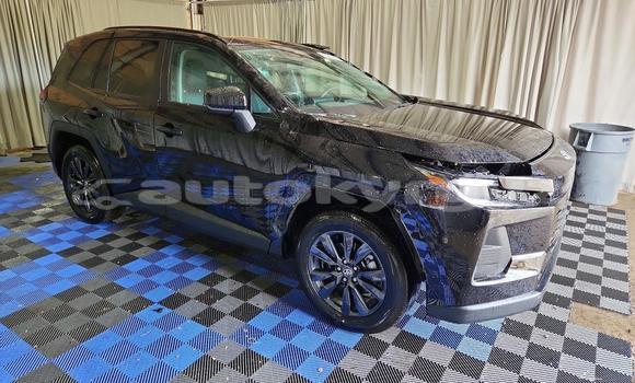 Buy Import Toyota RAV4 Black Car in Bishkek in Bishkek Buy Import Toyota RAV4 Black Car in Bishkek in Bishkek
