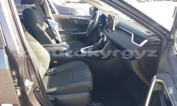 Buy Import Toyota RAV4 Silver Car in Bishkek in Bishkek Buy Import Toyota RAV4 Silver Car in Bishkek in Bishkek