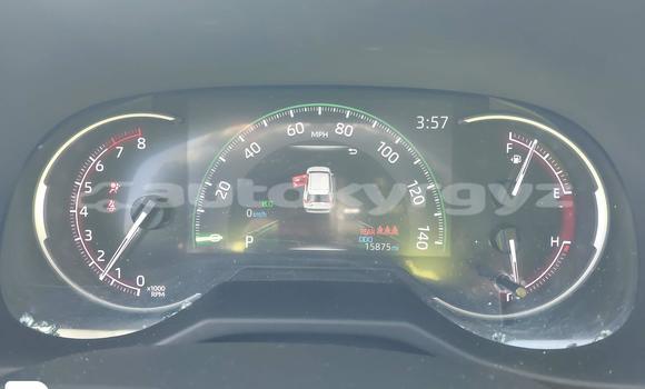 Buy Import Toyota RAV4 Silver Car in Bishkek in Bishkek Buy Import Toyota RAV4 Silver Car in Bishkek in Bishkek