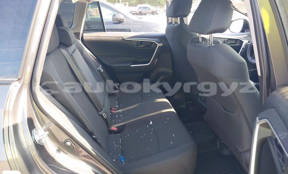 Buy Import Toyota RAV4 Silver Car in Bishkek in Bishkek Buy Import Toyota RAV4 Silver Car in Bishkek in Bishkek