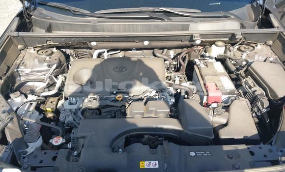 Buy Import Toyota RAV4 Silver Car in Bishkek in Bishkek Buy Import Toyota RAV4 Silver Car in Bishkek in Bishkek
