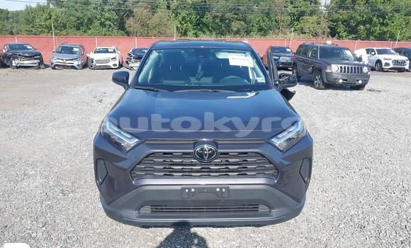 Buy Import Toyota RAV4 Silver Car in Bishkek in Bishkek Buy Import Toyota RAV4 Silver Car in Bishkek in Bishkek