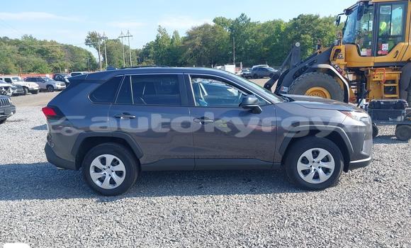 Buy Import Toyota RAV4 Silver Car in Bishkek in Bishkek Buy Import Toyota RAV4 Silver Car in Bishkek in Bishkek