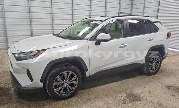 Buy Import Toyota RAV4 White Car in Bishkek in Bishkek Buy Import Toyota RAV4 White Car in Bishkek in Bishkek