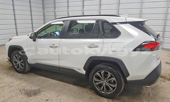 Buy Import Toyota RAV4 White Car in Bishkek in Bishkek Buy Import Toyota RAV4 White Car in Bishkek in Bishkek