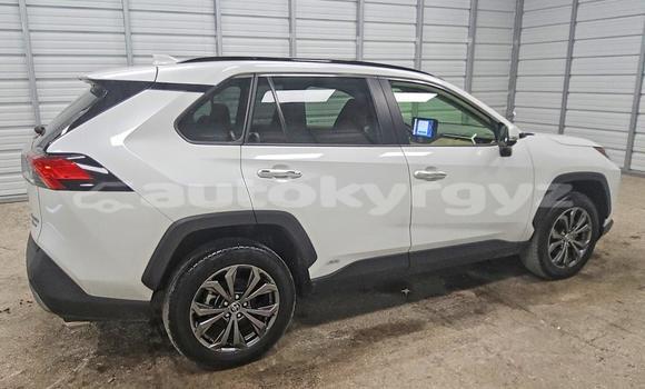 Buy Import Toyota RAV4 White Car in Bishkek in Bishkek Buy Import Toyota RAV4 White Car in Bishkek in Bishkek