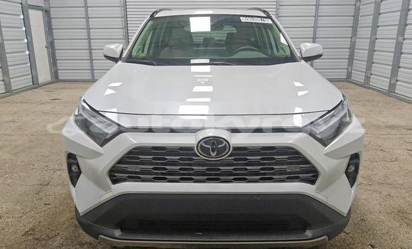 Buy Import Toyota RAV4 White Car in Bishkek in Bishkek Buy Import Toyota RAV4 White Car in Bishkek in Bishkek