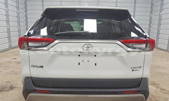 Buy Import Toyota RAV4 White Car in Bishkek in Bishkek Buy Import Toyota RAV4 White Car in Bishkek in Bishkek