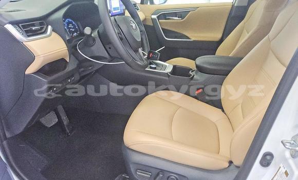 Buy Import Toyota RAV4 White Car in Bishkek in Bishkek Buy Import Toyota RAV4 White Car in Bishkek in Bishkek