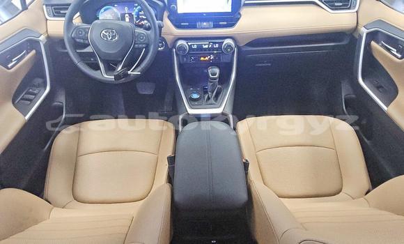 Buy Import Toyota RAV4 White Car in Bishkek in Bishkek Buy Import Toyota RAV4 White Car in Bishkek in Bishkek