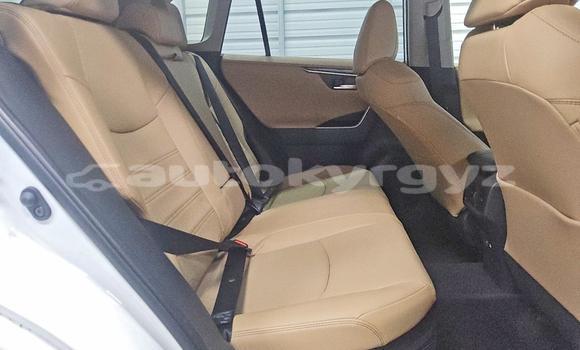 Buy Import Toyota RAV4 White Car in Bishkek in Bishkek Buy Import Toyota RAV4 White Car in Bishkek in Bishkek