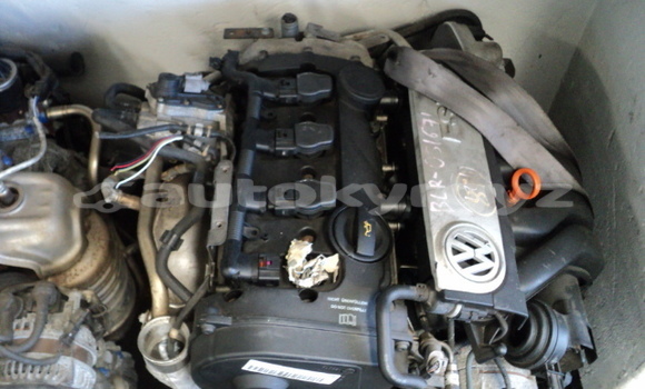 Buy Volkswagen Golf 5 Engine in Bishkek in Bishkek Buy Volkswagen Golf 5 Engine in Bishkek in Bishkek