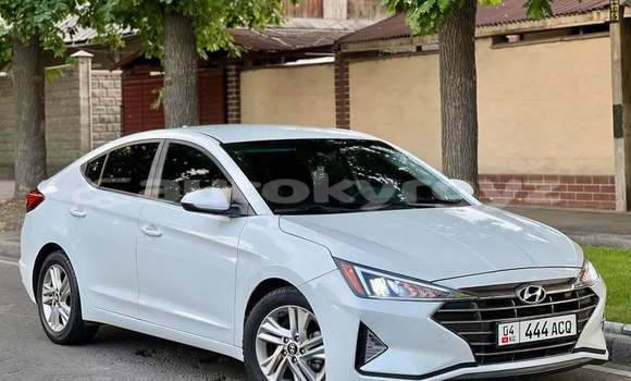 Buy Used Hyundai Elantra White Car in Bishkek in Bishkek
