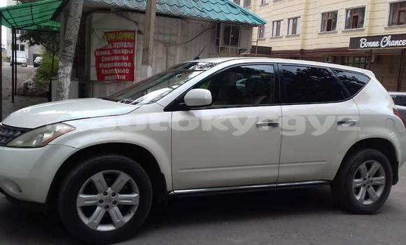 Buy Used Nissan Murano White Car in Bishkek in Bishkek