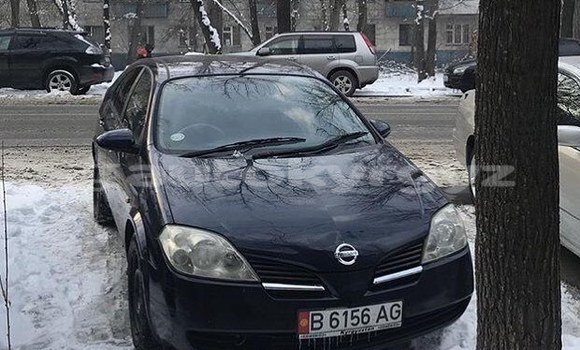 Buy Used Nissan Primera Black Car in Bishkek in Bishkek