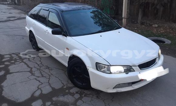 Buy Used Honda Accord White Car in Bishkek in Bishkek Buy Used Honda Accord White Car in Bishkek in Bishkek